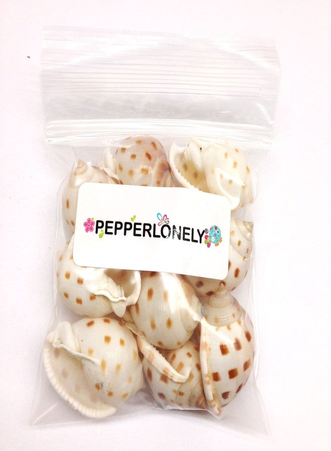 PEPPERLONELY 10PC Japanese Bonnet Shells, Beach Decor & Crafts, 1-1/2 Inch ~ 2 Inch - Image 5