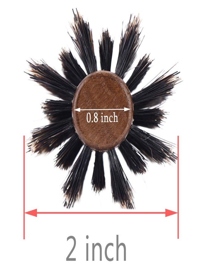 PERFEHAIR Boar Bristle Round Hair Brush for Blow Drying, 2 Inch, for Blowouts, Styling, Volumizing, Curling Short to Medium, Thin, Thick, Straight, Curly, Normal Hair - Image 4