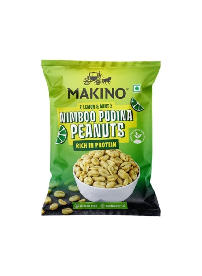 Makino Nimboo Pudina Peanuts 40 g - Image 1