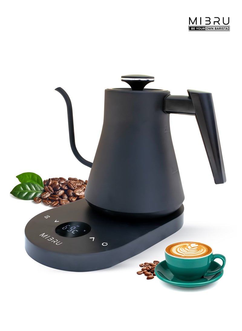 Electric Gooseneck Kettle 800ML 1000W Water Kettle for Pour-over Coffee & Tea, 304 Stainless Steel Coffee and Tea Pot, Constant Temperature Coffee Kettle