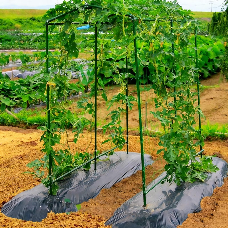 Xiny Tool Garden Stakes, 15 Pack 8 FT Steel Plant Garden Tomato Stakes with Plastic Coat for Climbing Plants (96 Inch) - Image 5