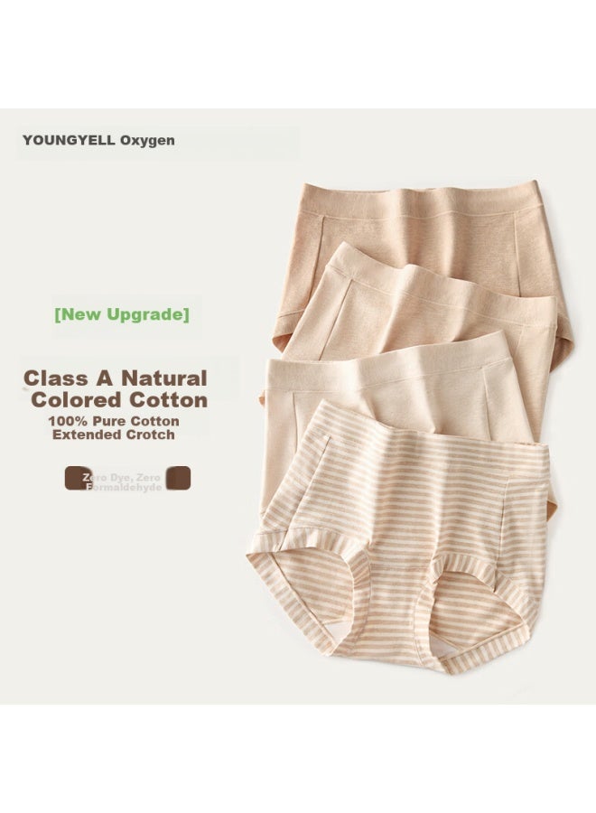 Youngyell Women's Plus Size Antibacterial 100% Cotton Class A Extended Crotch Mid-waist Shorts 3-pack - Image 1