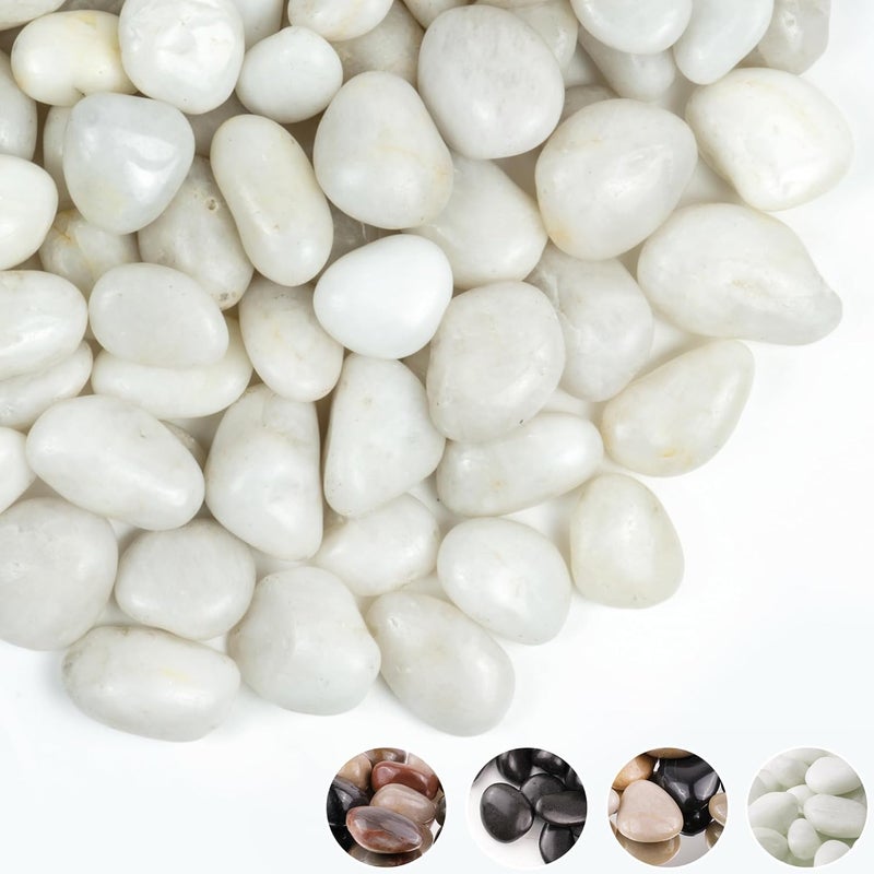 FINIKIS 2lbs White Pebbles for Indoor Plants, 1-2Inch Natural River Rocks for Aquarium, High Polished Decorative Stones for Vase Filler Fish Tank Landscaping Garden - Image 1