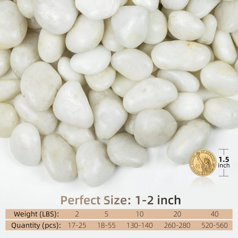 FINIKIS 2lbs White Pebbles for Indoor Plants, 1-2Inch Natural River Rocks for Aquarium, High Polished Decorative Stones for Vase Filler Fish Tank Landscaping Garden - Image 2