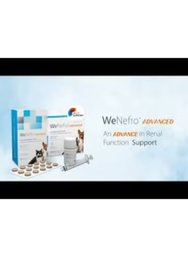 WePharm WeNefro Advanced Renal Support for Dogs & Cats 30 Tablets From Varmacy - Image 2