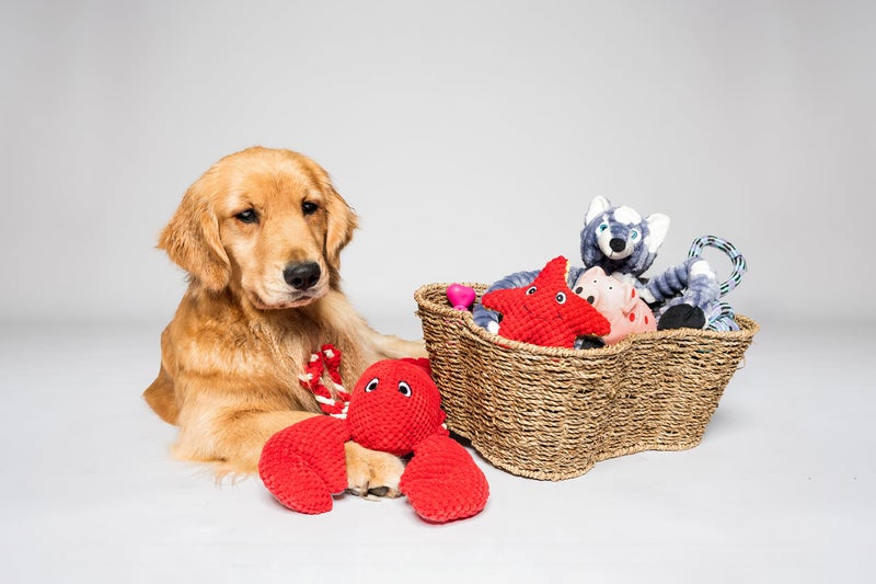 OtterPets Dog Toy Basket, Bone Shaped Dog Toy Bin, Handmade Pet Organizer And Storage, Toy Box for Cats, (17x13 Seagrass) - Image 3