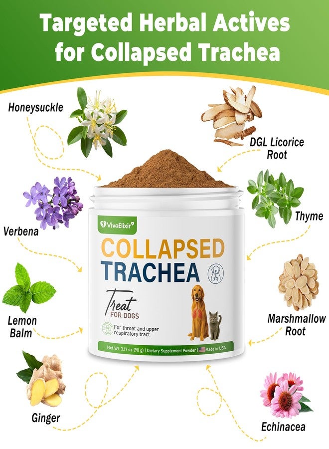 VivaElixir Dog Cough Powder–Relieves Cough, wheezing, tracheal Collapse, and Throat Irritation–Respiratory Health–Immune Support for Dogs in Kennel or Seasonal Challenges–All-Natural Herbal + Vitamin Blend–90g - Image 3
