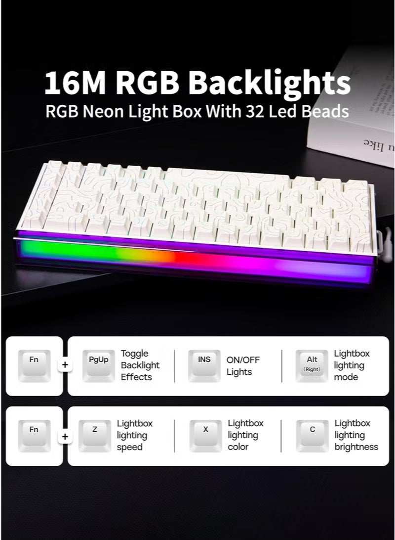 أولا AULA Hero 68HE RGB لوحة مفاتيح الألعاب ، 65٪ سلكية ، محرك قابل للتعديل ، مفتاح مغناطيسي تأثير هول ، معدل استجواب 8KHz ، الإضاءة الخلفية RGB ، صناديق ضوء النيون ، تركيب المنصات ، غطاء مفاتيح مطبوعة على الجانب (أبيض) - Image 3