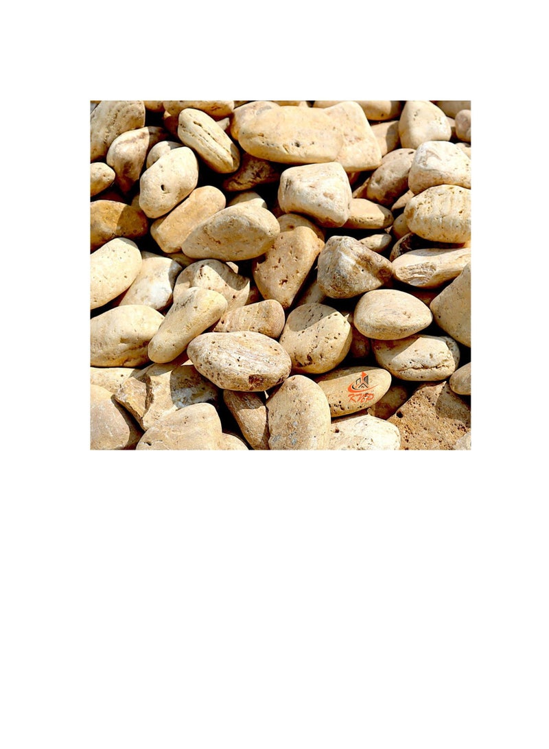 KNP Forest River Stone Natural Garden Material 5-8 cm 5 kg - Image 1
