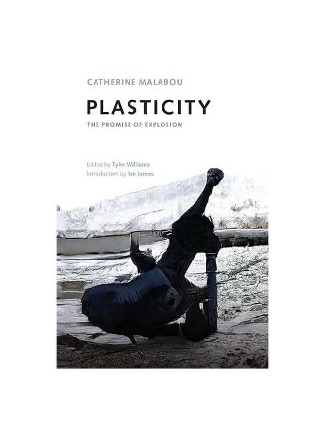 null - Plasticity: The Promise of Explosion - Image 1