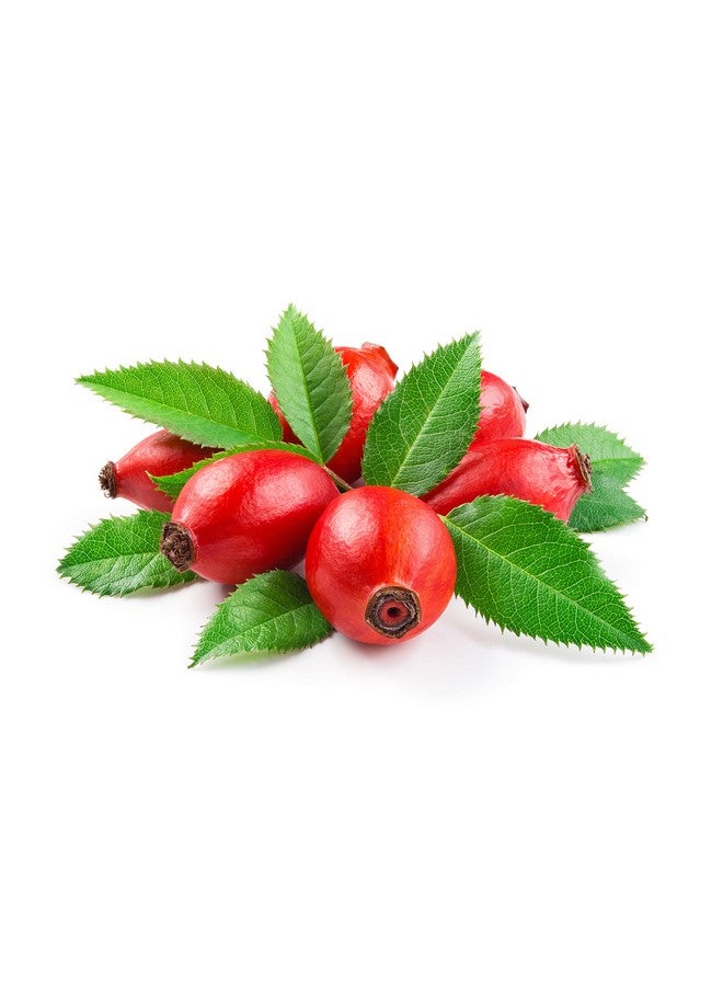 OPO Rosehip Oil 8 Oz 100% Pure Unrefined Non Gmo Cold Pressed Vegan Carrier Oil For Face Hair Skin Nails Body Aging Skin Beard Locs Mustache Lashes Premium Grade Packaging May Vary - Image 4