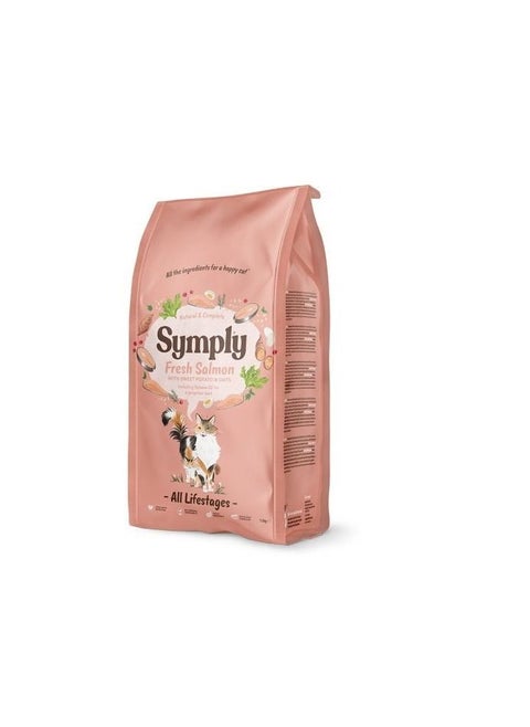 Cat Dry Food with Salmon - All Life Stages