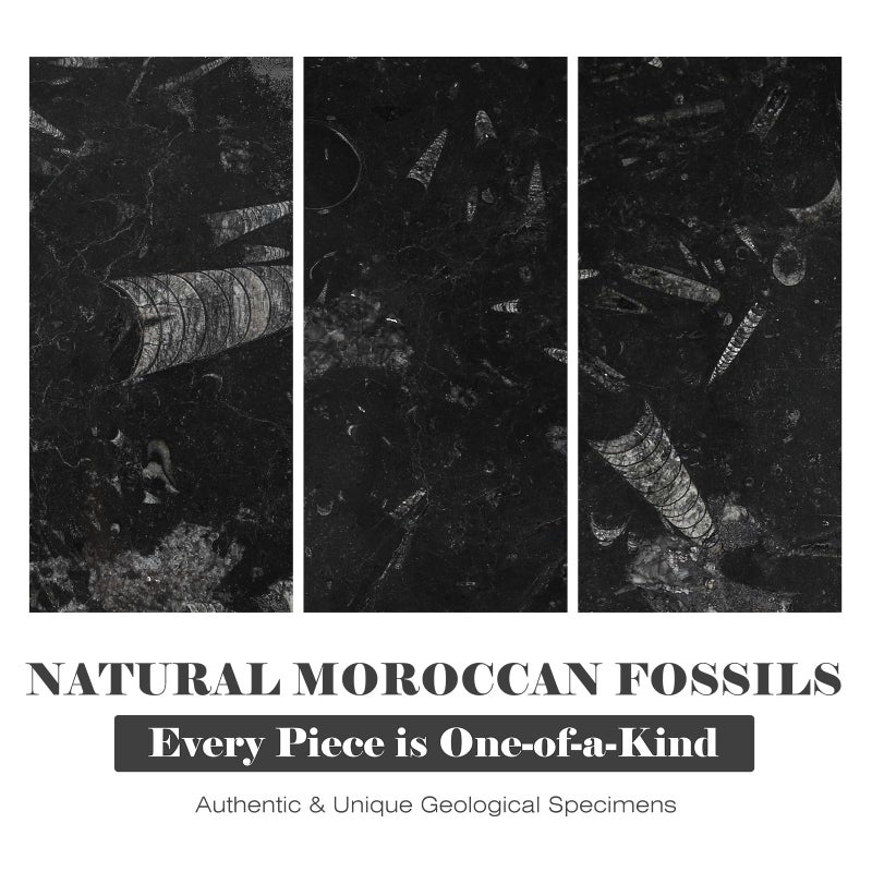 BCS Natural Moroccan Fossil Stone Tray - Black Marble Decorative Serving Board for Charcuterie, Cheese, Pastry - Jewelry, Candles, Perfume, Trinket Plate, Kitchen & Home Decor Centerpiece 12"x 8" - Image 2