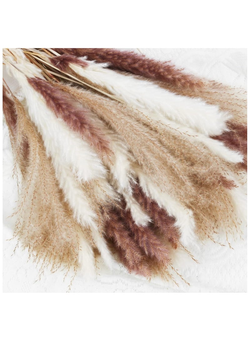 UREVO Dried Pampas Grass Bouquet Natural Brown White Reed 60PCS Floral Arrangements for Home Office Room Party Decorations - Image 2