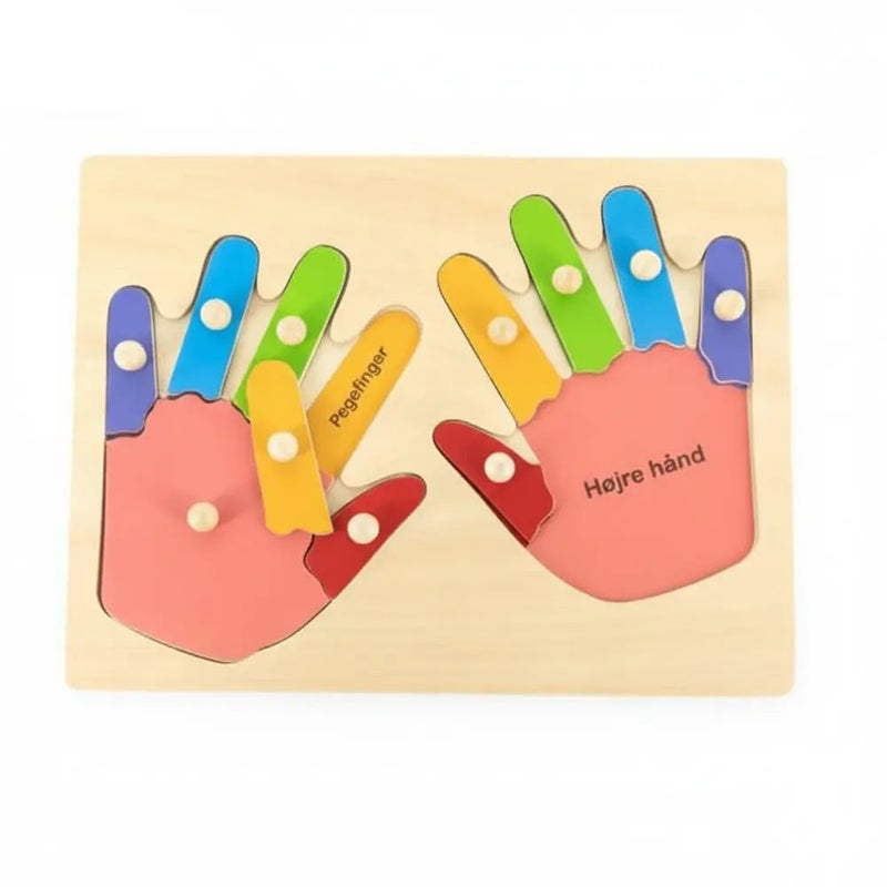 Hand and Finger Wooden Puzzle