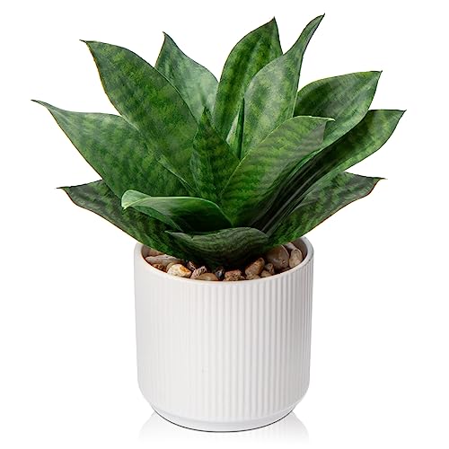 Hollyone Artificial Agave Succulent Plants Faux Snake Plant Fake Succulent Agave Plant Potted in White Pot Succulent Aloe Plant for Desk Modern Office Living Room Table Shelf Home Indoor Outdoor Decor - Image 1