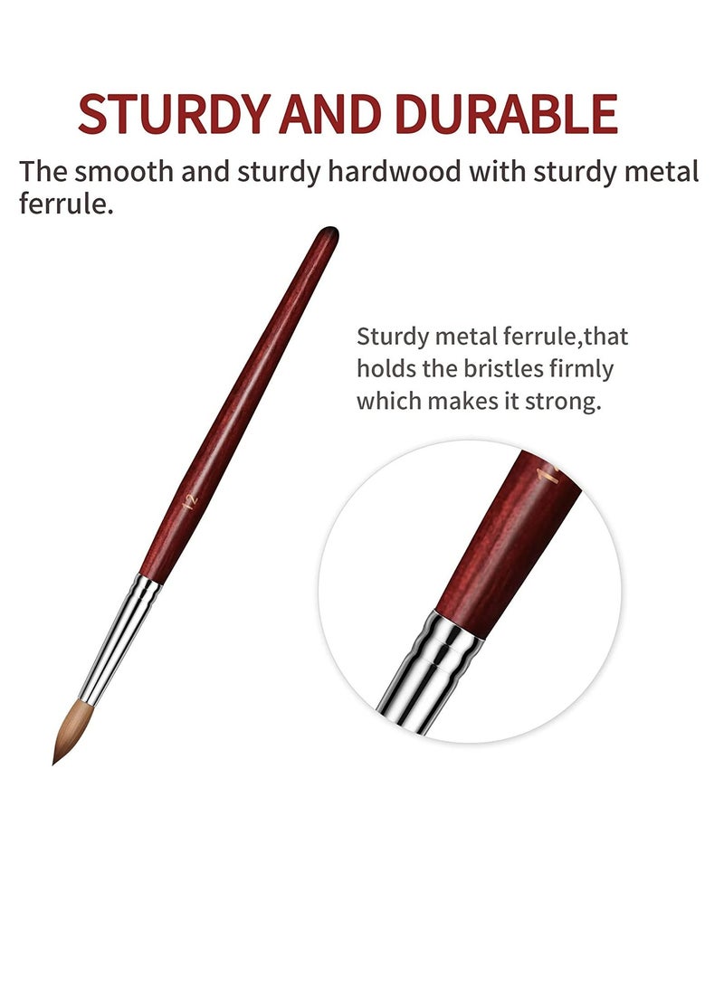 Generic 4 Pcs Acrylic Nail Brush for Acrylic Nails ,Acrylic Powder, Beginner & Professional, Size 4/6/8/12. - Image 5