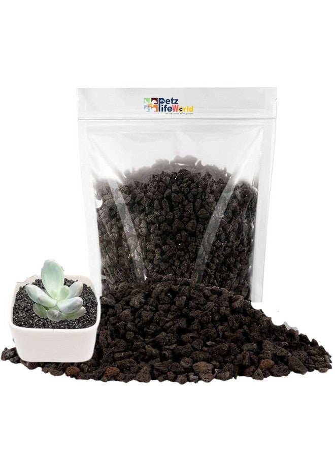 يمكن استخدام رقائق الحمم البركانية السوداء 2 كجم (الحجم 2-3 مم) كركيزة/قاعدة لحوض السمك وللنباتات الداخلية من Petzlifeworld - Image 1
