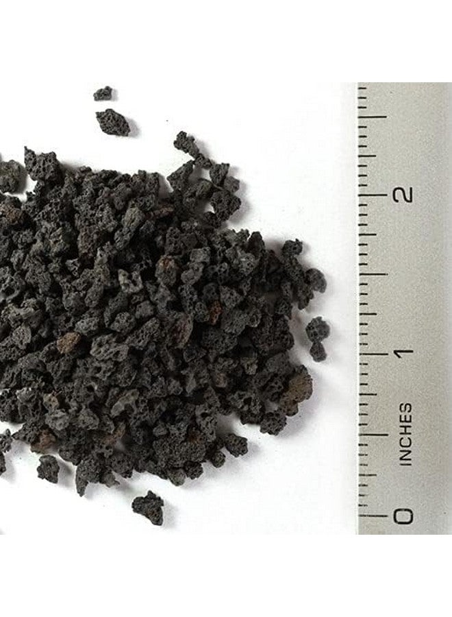 يمكن استخدام رقائق الحمم البركانية السوداء 2 كجم (الحجم 2-3 مم) كركيزة/قاعدة لحوض السمك وللنباتات الداخلية من Petzlifeworld - Image 5