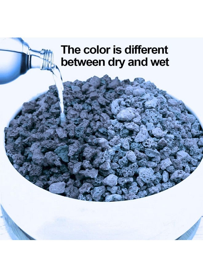 يمكن استخدام رقائق الحمم البركانية السوداء 2 كجم (الحجم 2-3 مم) كركيزة/قاعدة لحوض السمك وللنباتات الداخلية من Petzlifeworld - Image 4