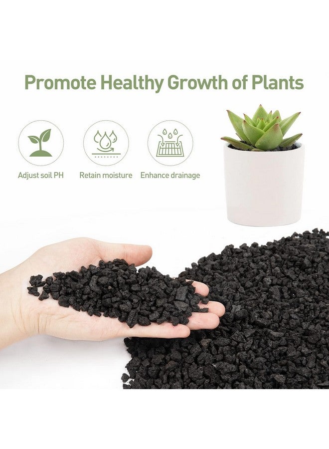 يمكن استخدام رقائق الحمم البركانية السوداء 2 كجم (الحجم 2-3 مم) كركيزة/قاعدة لحوض السمك وللنباتات الداخلية من Petzlifeworld - Image 3
