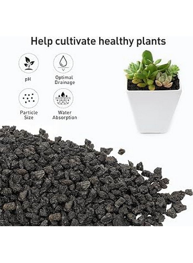 يمكن استخدام رقائق الحمم البركانية السوداء 2 كجم (الحجم 2-3 مم) كركيزة/قاعدة لحوض السمك وللنباتات الداخلية من Petzlifeworld - Image 2