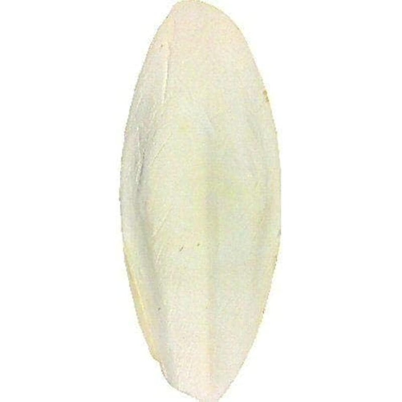 Other Cuttlefish Bone for Small Birds, Bird Feeder, Unflavored, 1 count, Bird Food