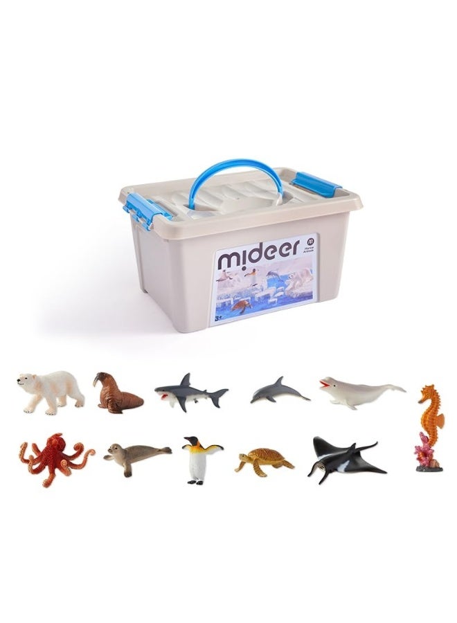 Mideer Marine Animals Toy Set for Kids – 11 Piece Hand Painted Ocean Animal Figures with Educational Information Booklet & Storage Box, Realistic Sea Life Learning Toys for Toddlers and Children Age 3+ - Image 1