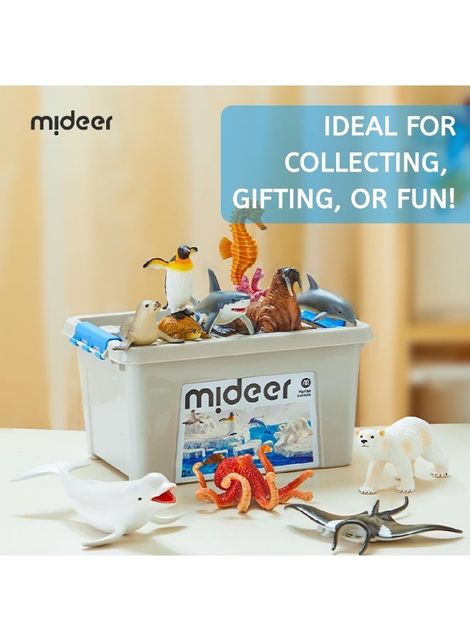 Mideer Marine Animals Toy Set for Kids – 11 Piece Hand Painted Ocean Animal Figures with Educational Information Booklet & Storage Box, Realistic Sea Life Learning Toys for Toddlers and Children Age 3+ - Image 5