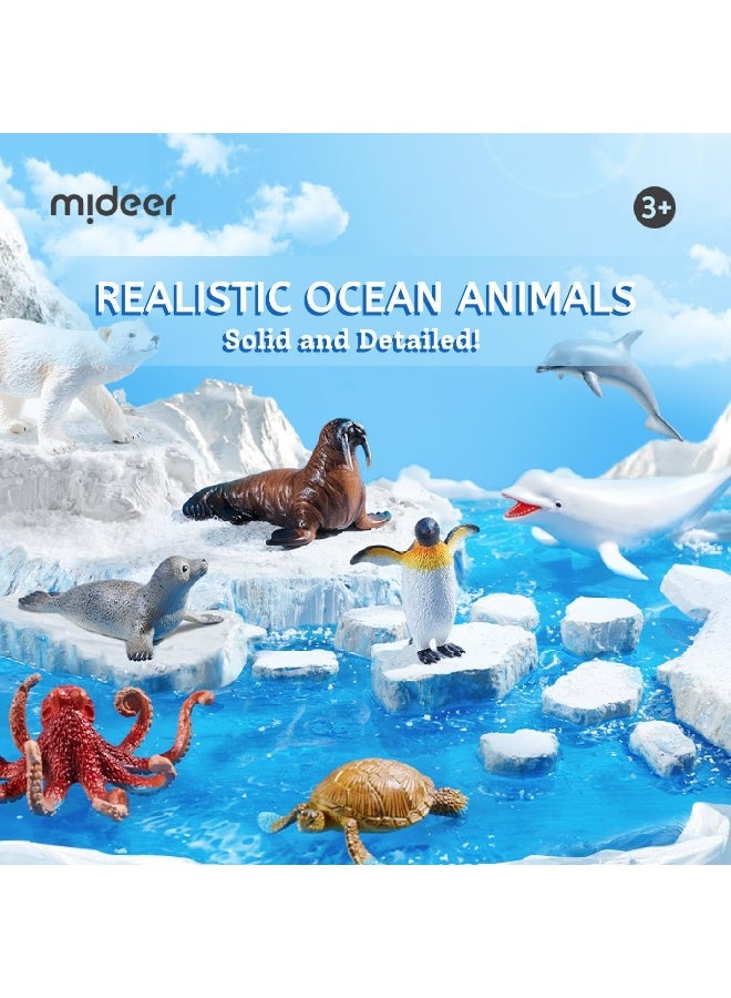 Mideer Marine Animals Toy Set for Kids – 11 Piece Hand Painted Ocean Animal Figures with Educational Information Booklet & Storage Box, Realistic Sea Life Learning Toys for Toddlers and Children Age 3+ - Image 4