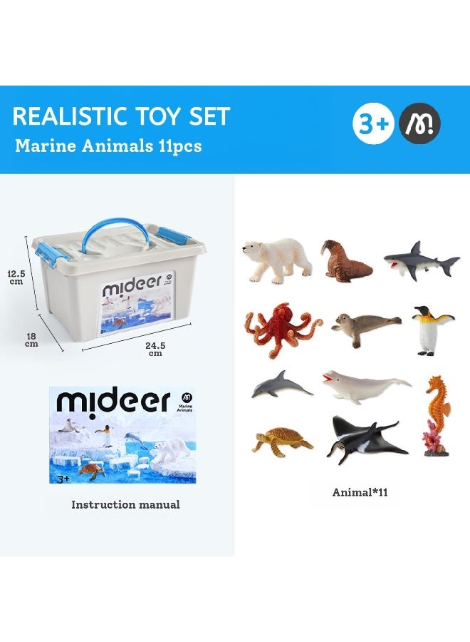 Mideer Marine Animals Toy Set for Kids – 11 Piece Hand Painted Ocean Animal Figures with Educational Information Booklet & Storage Box, Realistic Sea Life Learning Toys for Toddlers and Children Age 3+ - Image 2