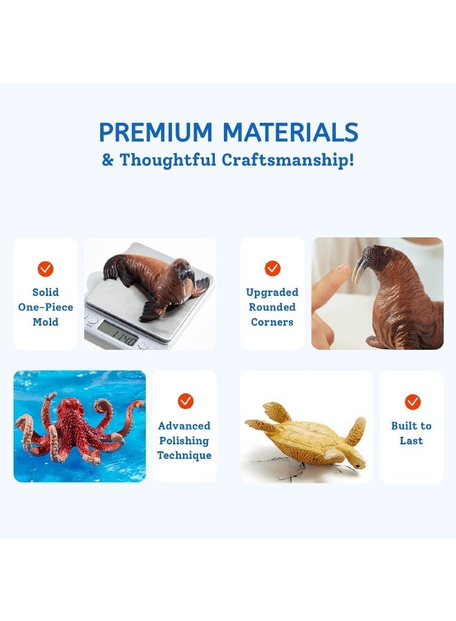Mideer Marine Animals Toy Set for Kids – 11 Piece Hand Painted Ocean Animal Figures with Educational Information Booklet & Storage Box, Realistic Sea Life Learning Toys for Toddlers and Children Age 3+ - Image 3