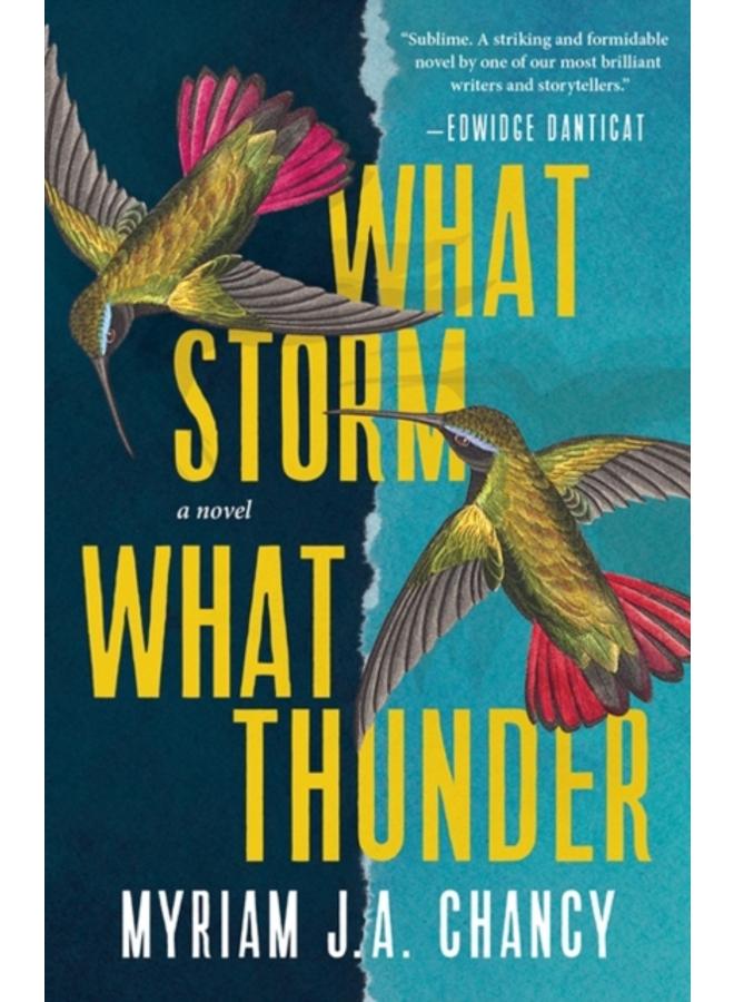 What Storm, What Thunder : A Novel 