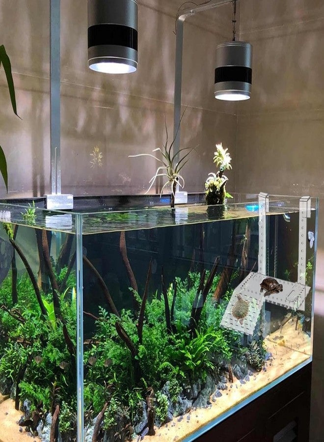 VAYINATO PetzLifeworld Acrylic Height Adjustable Hanging Turtle Ladder Basking Platform for Reptiles Resting Terrace Area with Height Adjustable Hanging Clip and Feeding Spot (Large) - Image 5