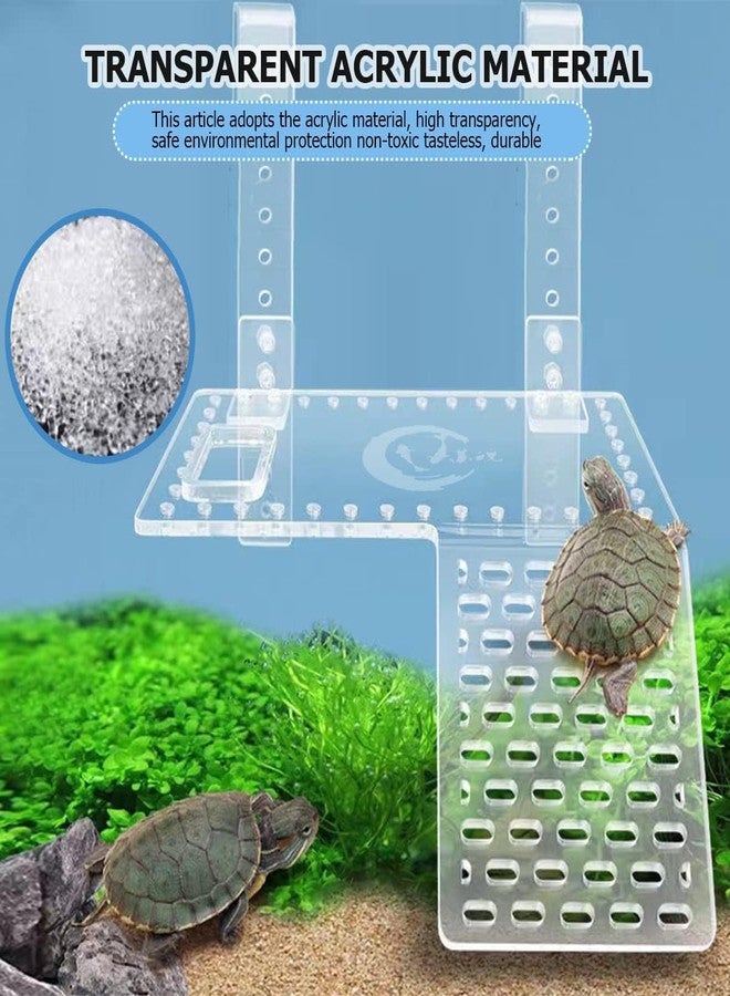 VAYINATO PetzLifeworld Acrylic Height Adjustable Hanging Turtle Ladder Basking Platform for Reptiles Resting Terrace Area with Height Adjustable Hanging Clip and Feeding Spot (Large) - Image 4