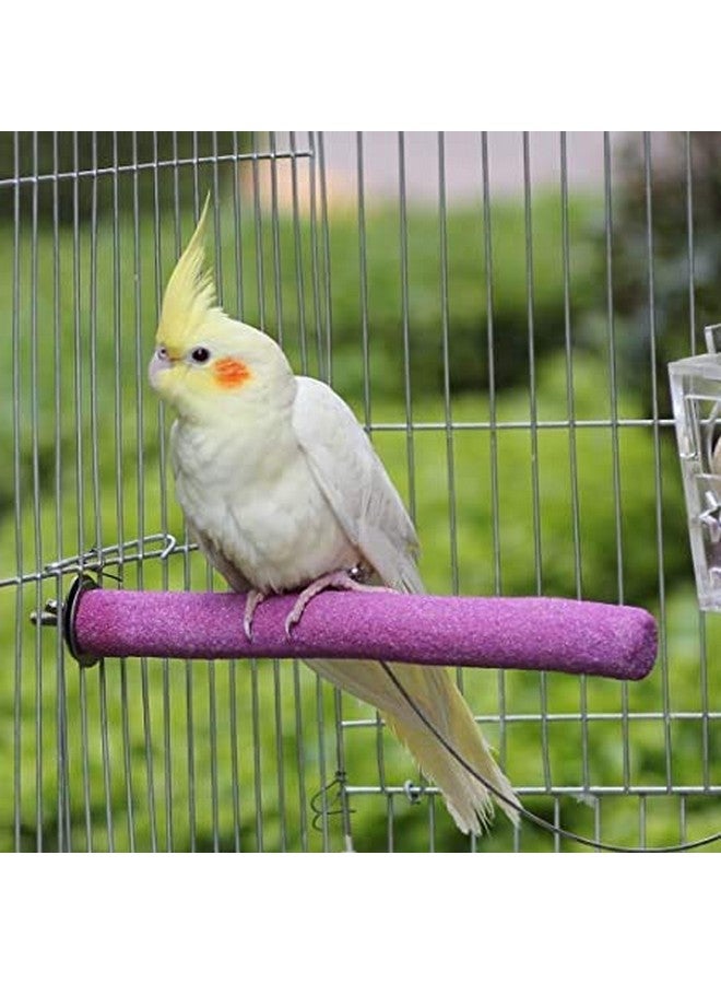 ويستيرن إرا مجموعة من 2 مقعد/حامل/لعبة رملية خشبية آمنة للطيور (خفيفة الوزن) (الحجم - 10 بوصة) - Image 3