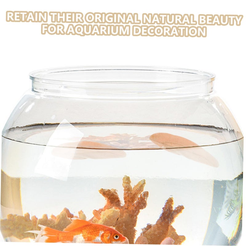 Natural Driftwood Pieces For Aquarium Decor Safe For Fish Tank Craft Material - Image 4