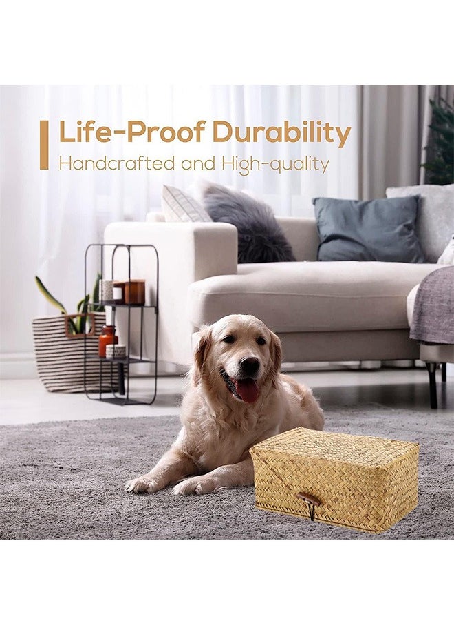 Garlo Rectangular Woven Tissue Box Cover, Decorative Seagrass Wicker Tissue Box Holder, Rustic Facial Tissue Holder, for Bathroom Vanity Toilet Dresser Table Countertop Office Car.  - Image 5