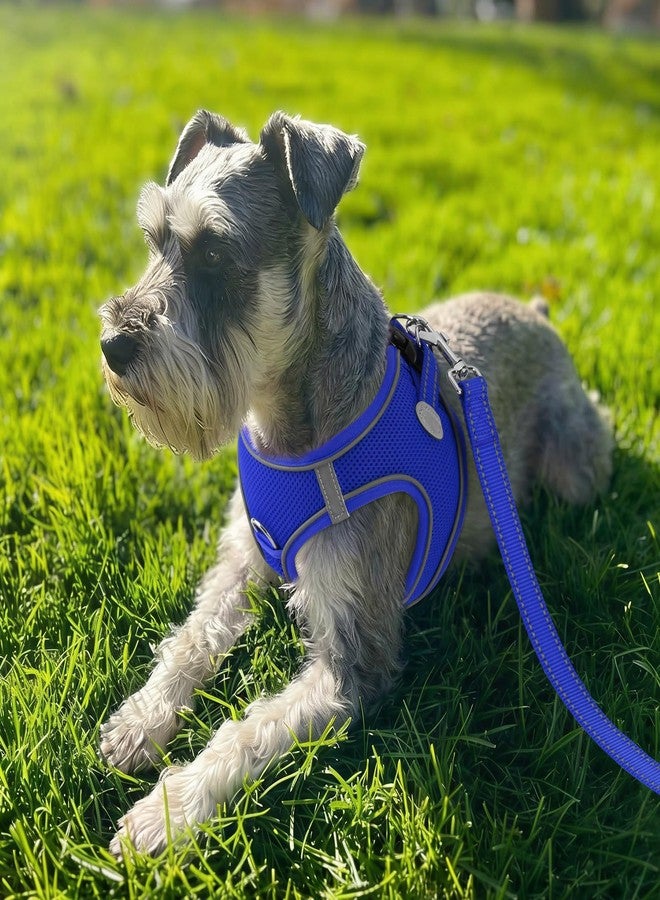 Joytale Small Dog Harness, Breathable Mesh Step-in Vest, Reflective Soft Padded Harnesses Small Sized Dog for Walking, Navy Blue, S - Image 2