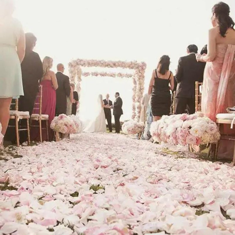 CODE FLORIST 1500 PCS White Silk Rose Petals for Valentine's Day Romantic Night Wedding Proposal Anniversary Flower Decorations(Separated Scented) - Image 4