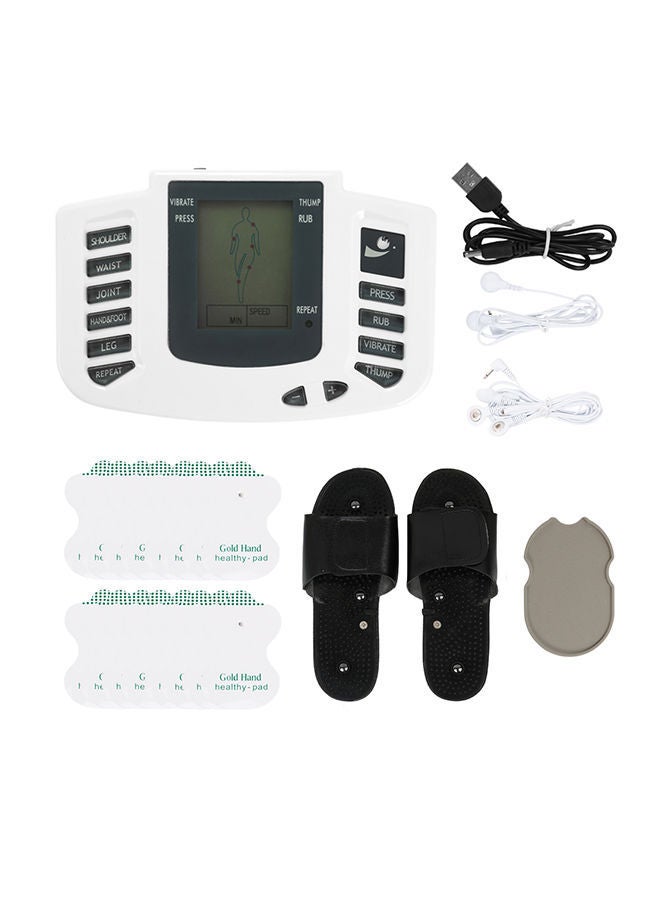 NIBEMINENT Electrical Muscle Stimulator Acupuncture Therapy Machine - Image 1