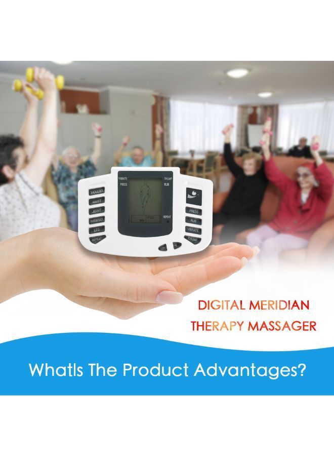 NIBEMINENT Electrical Muscle Stimulator Acupuncture Therapy Machine - Image 4