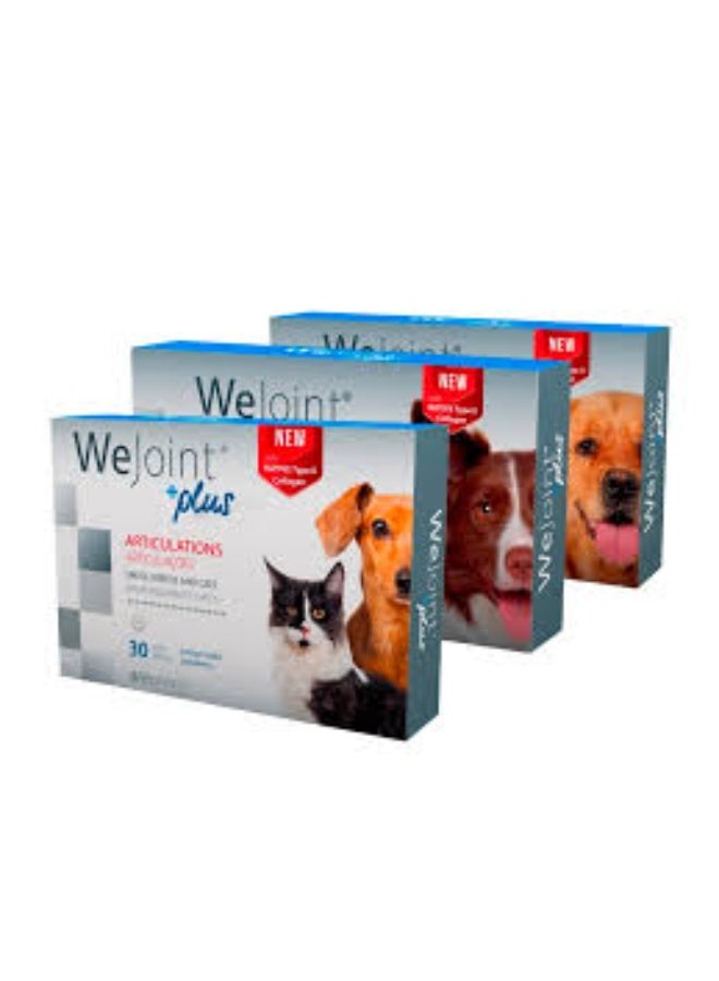 WEPHARM WeJoint Plus Joint Support Supplement for Small Breed Dogs and Cats 30 Tablets From Varmacy - Image 3