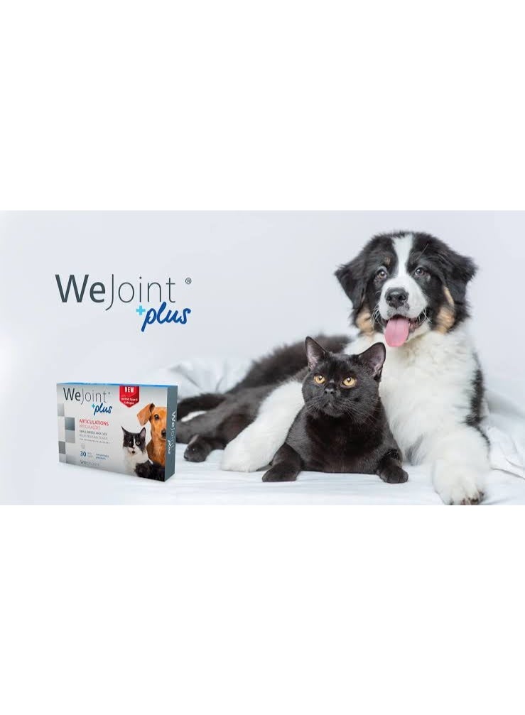 WEPHARM WeJoint Plus Joint Support Supplement for Small Breed Dogs and Cats 30 Tablets From Varmacy - Image 2