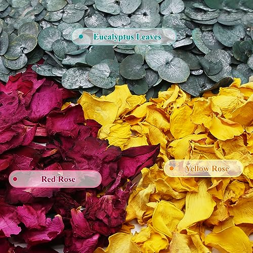 Koceko 2 QT Mix Biodegradable Flower Petals Confetti, 20+ Cups of Dried Roses & Eucalyptus Leaves, Real Petals for Wedding Parties Romantic Gifts, Flower Girl Bridal - Image 3