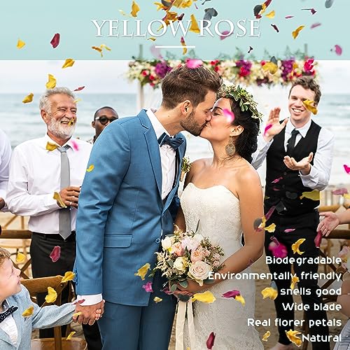 Koceko 2 QT Mix Biodegradable Flower Petals Confetti, 20+ Cups of Dried Roses & Eucalyptus Leaves, Real Petals for Wedding Parties Romantic Gifts, Flower Girl Bridal - Image 5