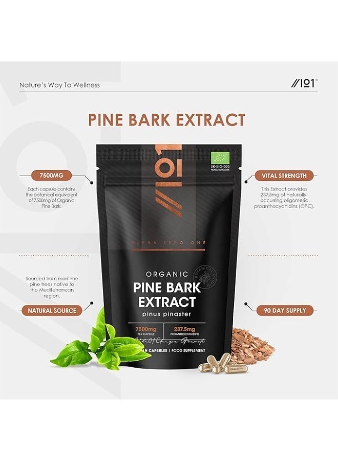 مستخلص لحاء الصنوبر العضوي 7500 مجم – يدعم الدفاعات المضادة للأكسدة والدورة الدموية وصحة البشرة، صنع في المملكة المتحدة، 90 كبسولة - Image 3