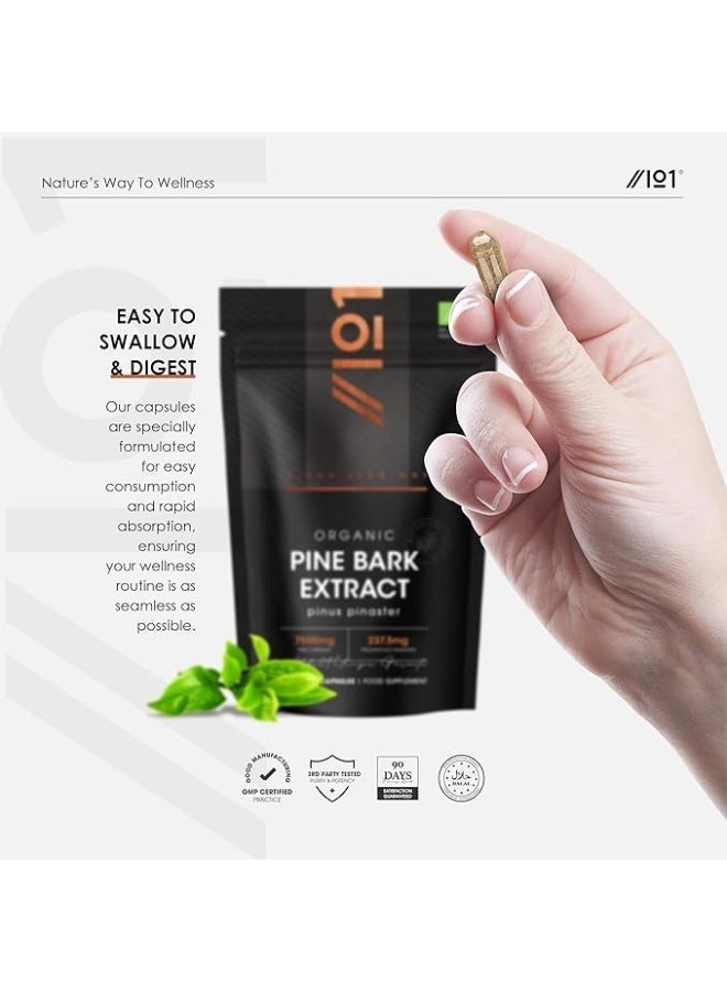 مستخلص لحاء الصنوبر العضوي 7500 مجم – يدعم الدفاعات المضادة للأكسدة والدورة الدموية وصحة البشرة، صنع في المملكة المتحدة، 90 كبسولة - Image 5