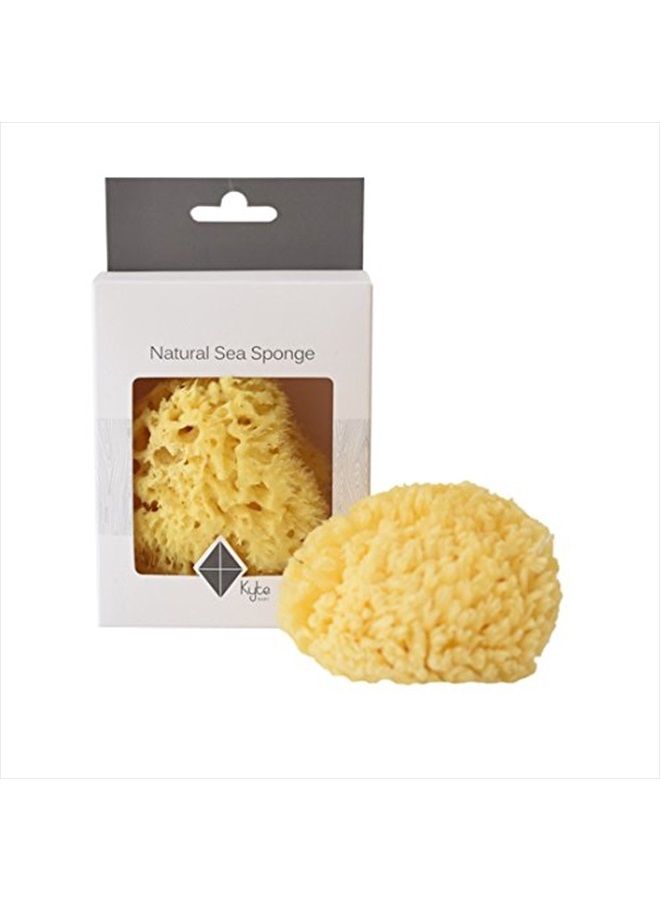 KYTE BABY إسفنجة بحرية طبيعية من كايت بيبي، 4 إلى 5 بوصات - Image 2