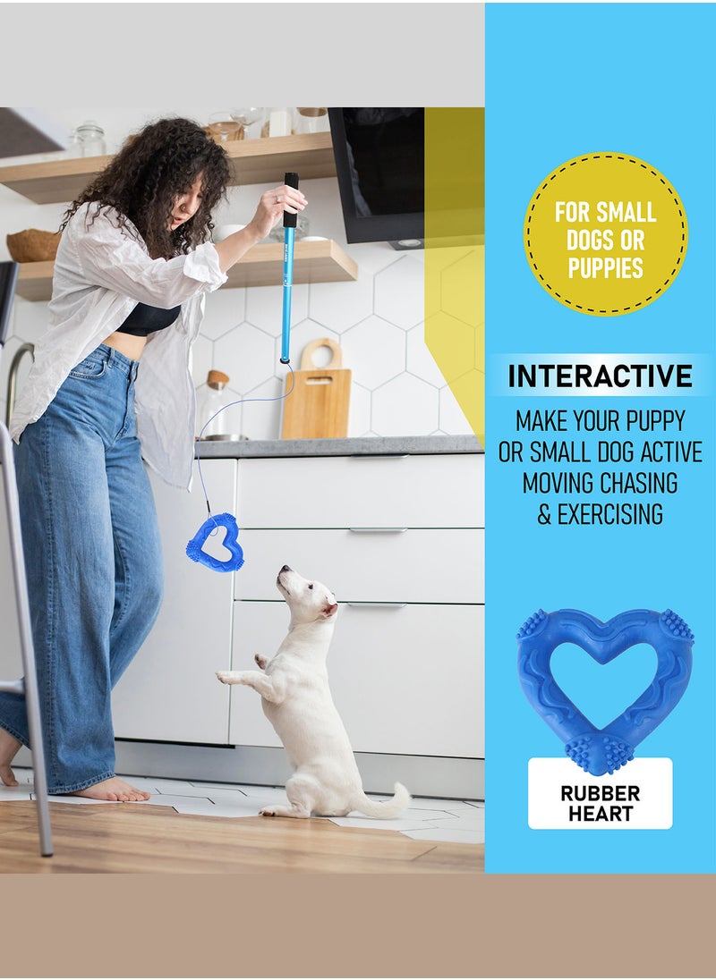 CHEWY BONE - Dog teaser toy for small dogs and puppies - Image 1